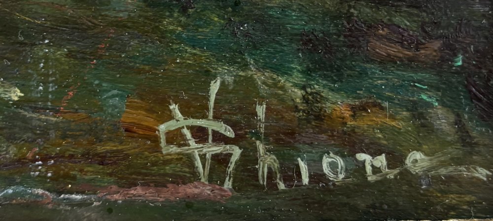 Immagine2