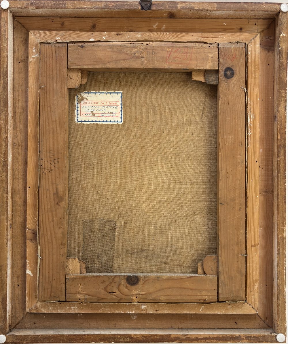 Cristoforo De AmicisParticolare 2