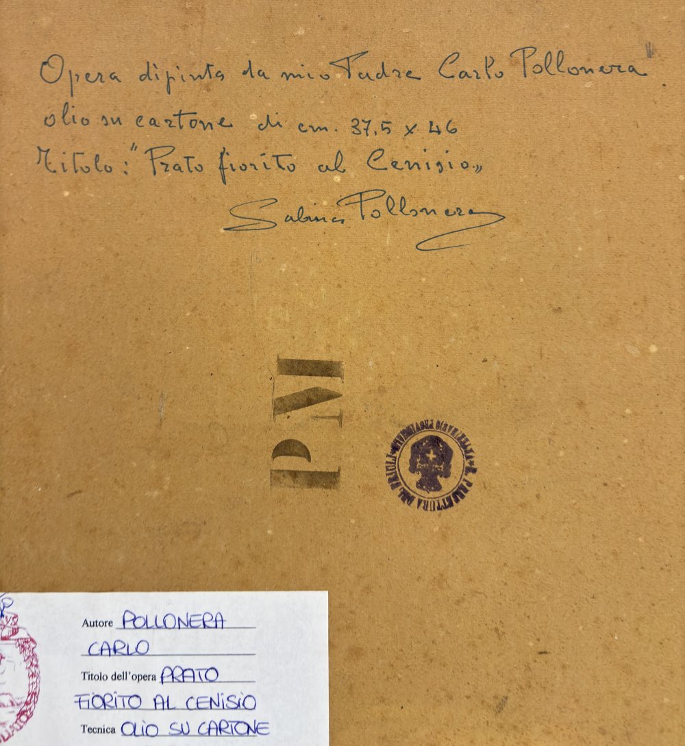 Carlo PolloneraParticolare 1