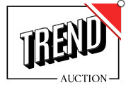 Trend Auction, Galleria d'Arte in Alessandria